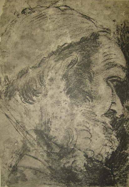 Study of an Old Man's Head